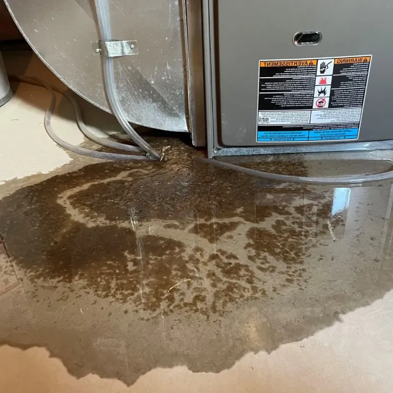 Pipe Burst and Leak Restoration in Clay County, KY